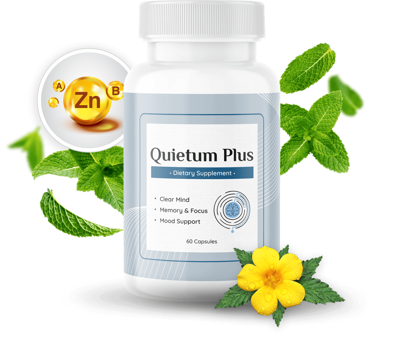 Quietum-Plus-Official-1.png